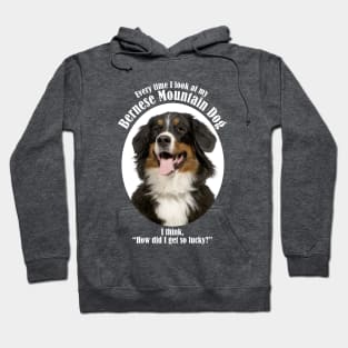 Lucky Bernese Mountain Dog Hoodie